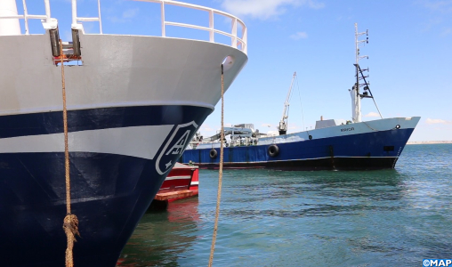 port Dakhla Atlantique 1 - Translogis Info