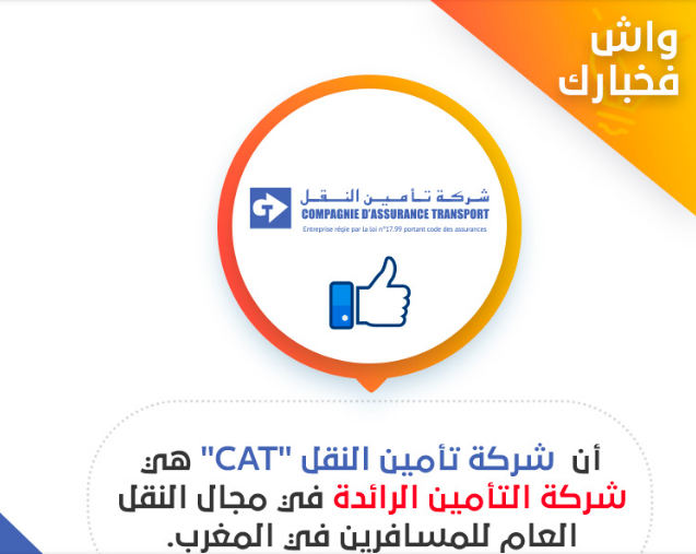 la cat - My Blog